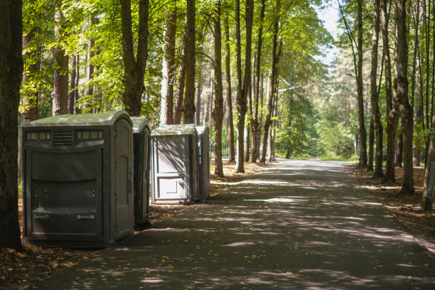 Best Affordable portable toilet rental  in Murphy, MO